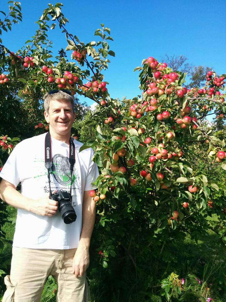 apple tree